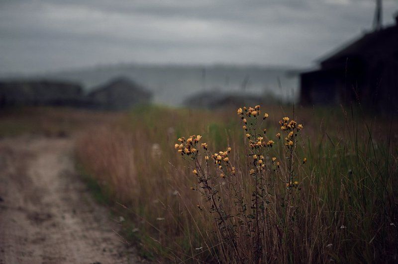 На обочинеphoto preview