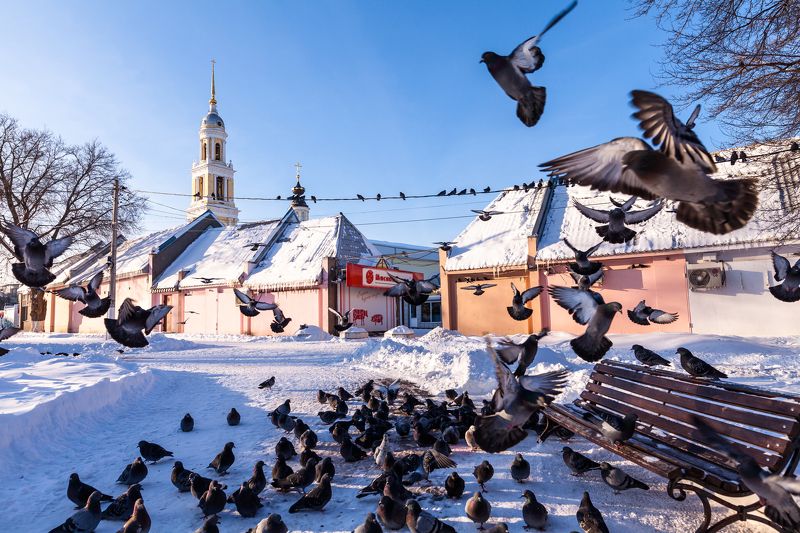 Коломна, город, зима, путешествие, православие, религия, христианство, история, культура, древний, достопримечательность, голуби, птицы, сквер, парк Сквер в Коломнеphoto preview