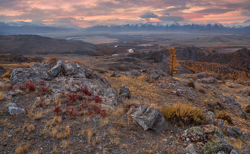 один обычный рассвет в Курайской степиphoto preview