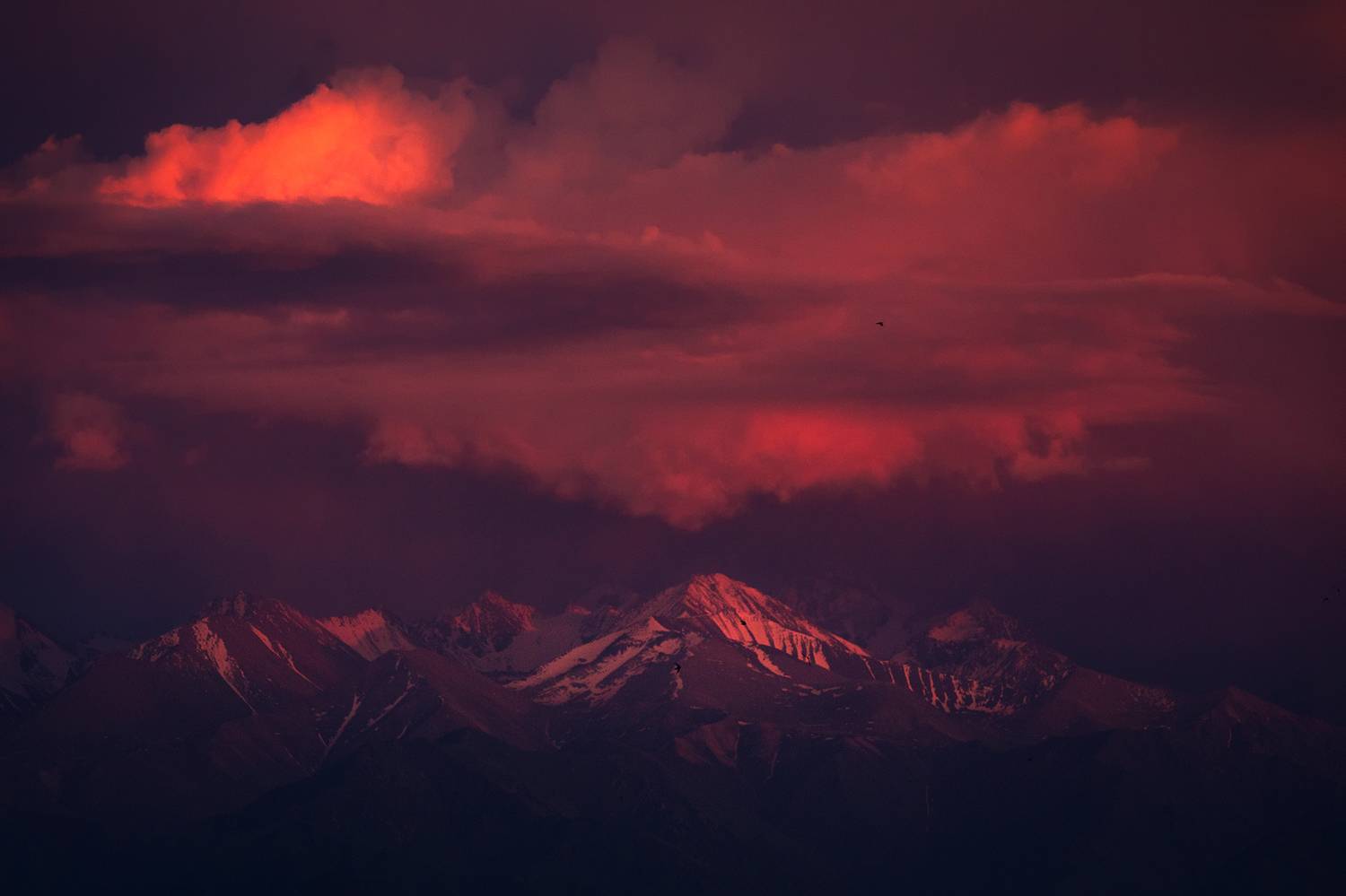 Розовый вечер. Автор: Элина Магалимова кыргызстан, кыргыз ала-тоо, Элина Магалимова
