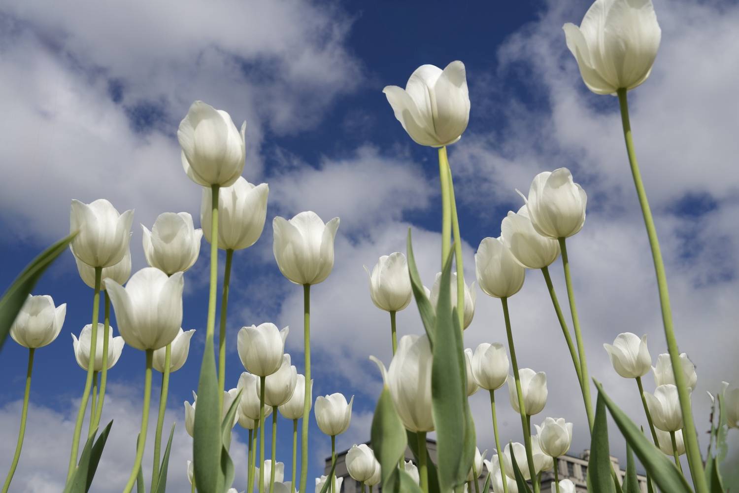 Автор: Viktoriya Kim , Viktoriya Kim