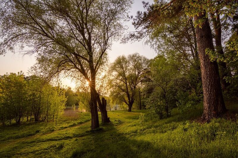 закат, пейзаж, солнце, дерево, озеро Майским вечером на озере в Кратовоphoto preview