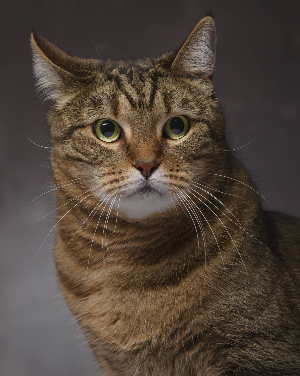 , Максим Вышарь