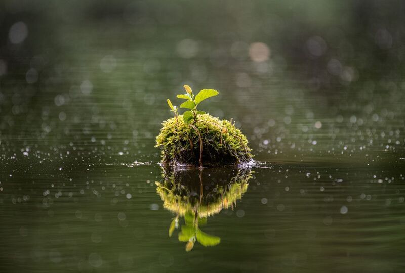 Крошечный островphoto preview