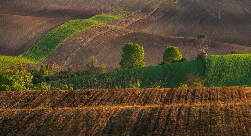 Moravian Fieldsphoto preview