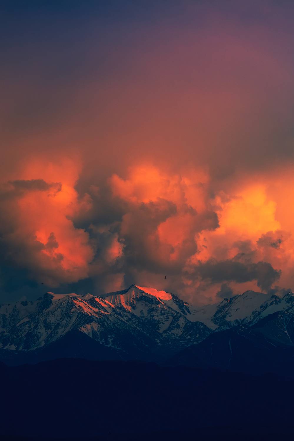 кыргызстан, кыргыз  ала-тоо, Элина Магалимова