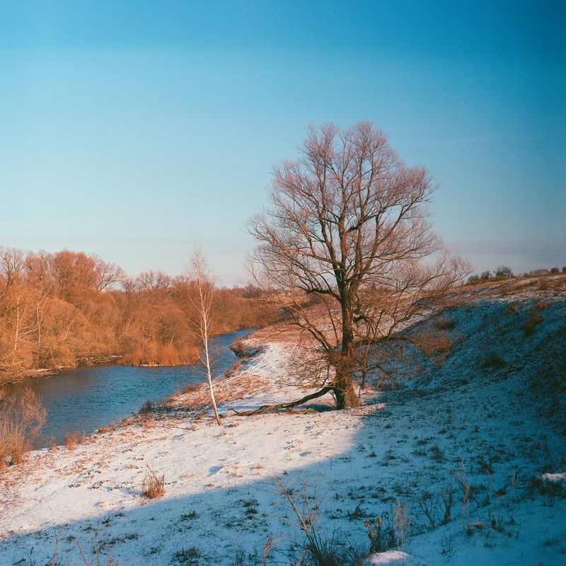 пленка, пейзаж, пейзажная фотография, Тульская область, пленка, kodak ektar Тульская областьphoto preview