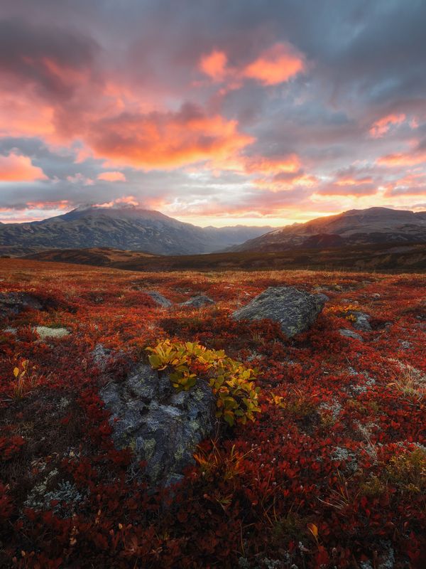 камчатка, осень Однажды утром на Камчаткеphoto preview