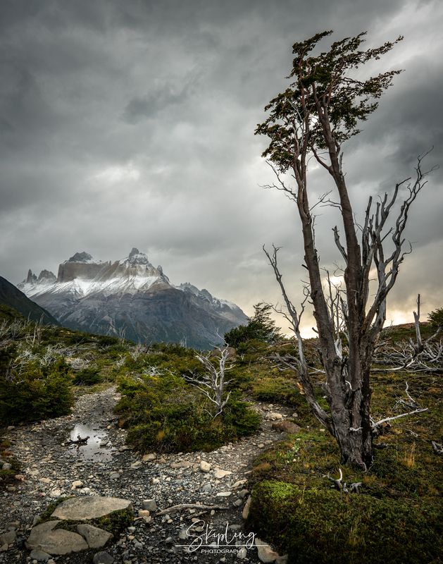патагония Дождливый деньphoto preview