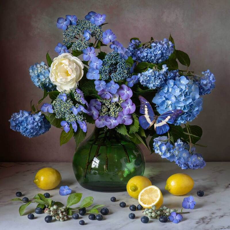 Garden Hydrangea and Lemonsphoto preview