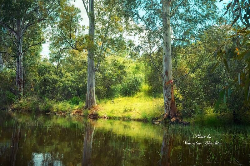 #природа #живописно #поход #пейзаж #тишина #свежийвоздух #диканатура #поток #зелень #вода #природнаямагия #nature #greenescape #hikingadventures #naturevibes #wildwater #earthmood #sereneviews #landscape_lovers #wanderlust #freshair #calmplace Зелёный покой ??photo preview