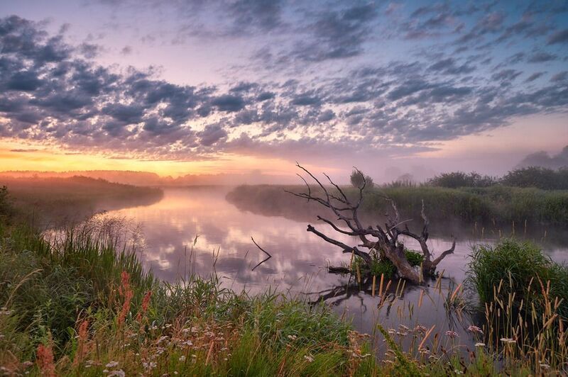беларусь, июль, лето, неман, облака, отражение, рассвет, река, туман, утро Нёман. Июльское утро 2020-гоphoto preview
