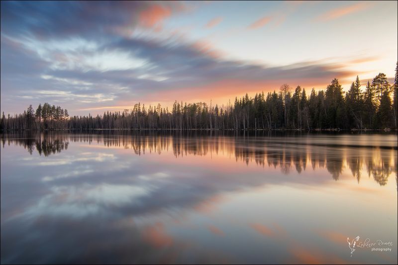 р.Илексаphoto preview