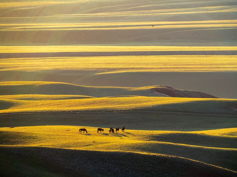 Утро на лугахphoto preview