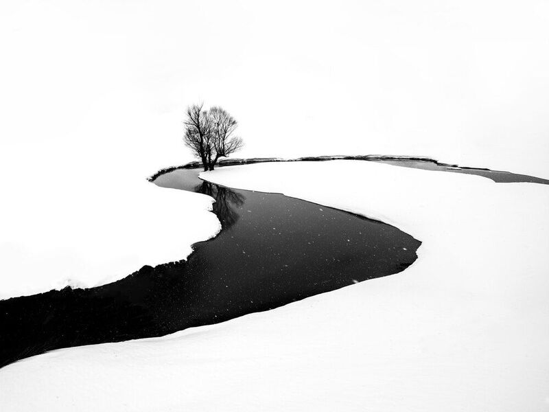 Winter and treesphoto preview