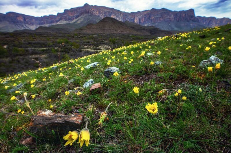 Где-то в горахphoto preview