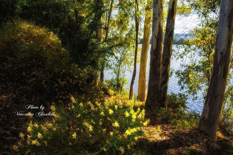 #природа #живописно #поход #пейзаж #тишина #свежийвоздух #диканатура #поток #зелень #вода #природнаямагия #nature #mountainstream #greenescape #hikingadventures #naturevibes #wildwater #earthmood #sereneviews #landscape_lovers #wanderlust #freshair #calmp Солнечный день на берегу  реки...photo preview