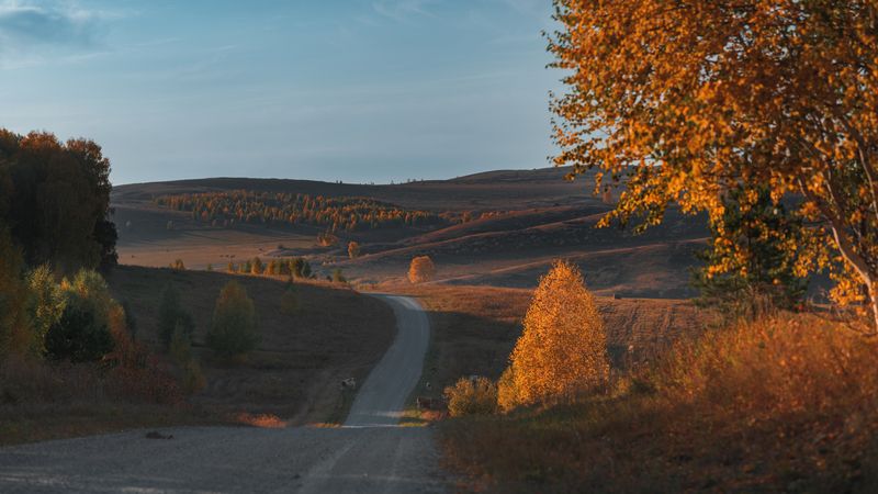 Осень, Алтай, поля, холмы, лес photo preview