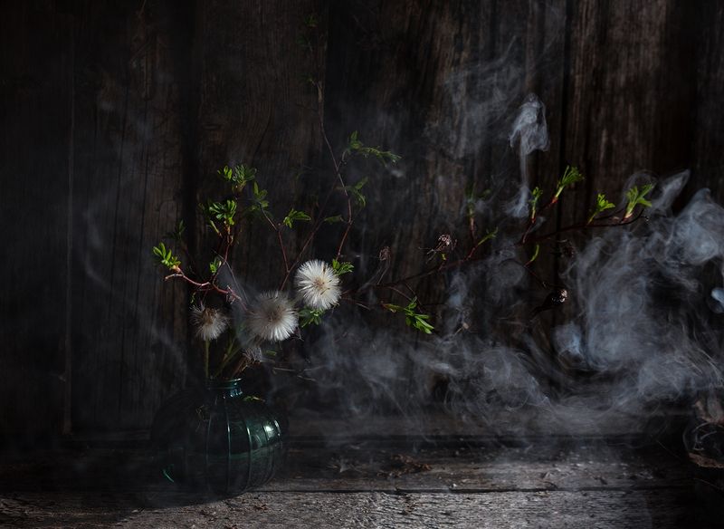 натюрморт, шиповник, дым Натюрморт с дымом фото превью