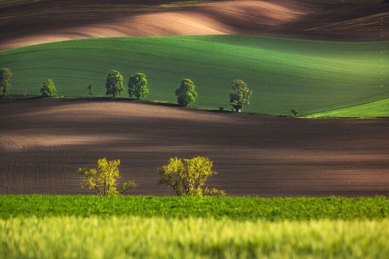 czech, moravia, landscape, green, rollinghills, trees, land, fields, agriculture, europe, lights, waves of springphoto preview