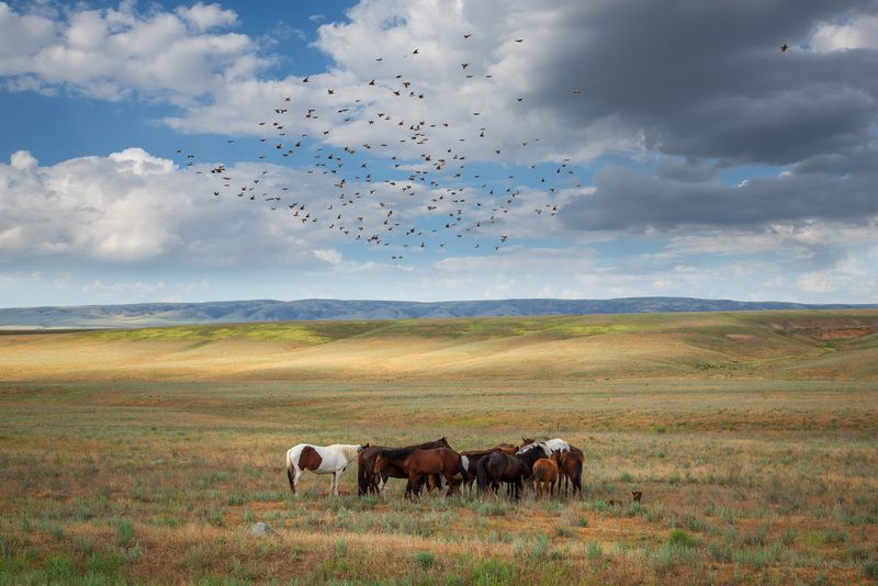 Дорогами Казахстанаphoto preview