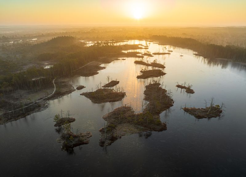 Утро в марте фото превью