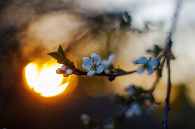 На закате фото превью