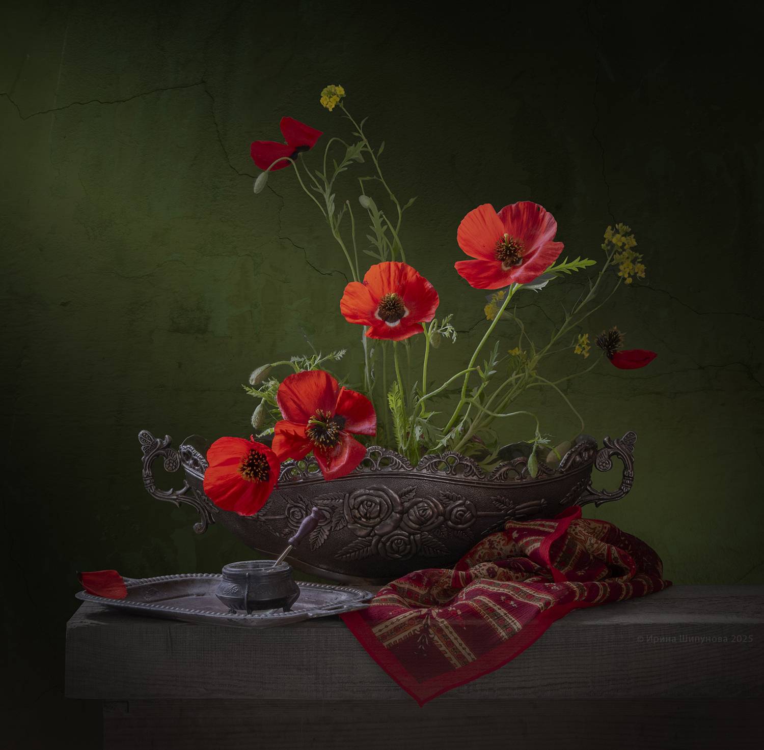 , Шипунова Ирина