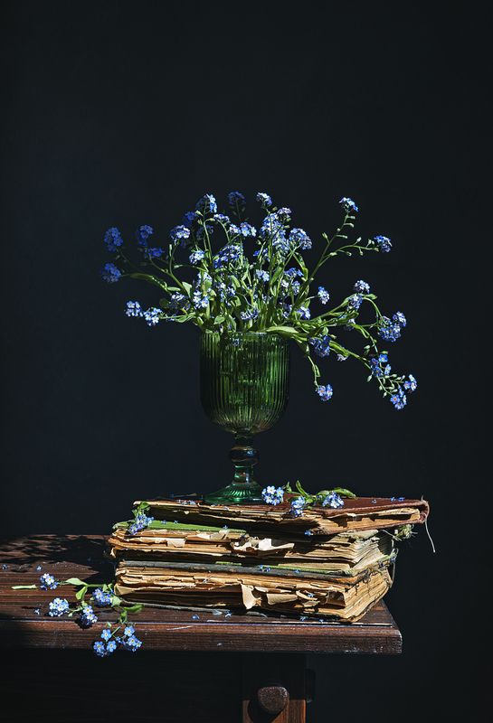 Незабудкиphoto preview