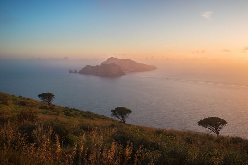 sunset, landscape, italy, capri, sea, trees The tree treesphoto preview