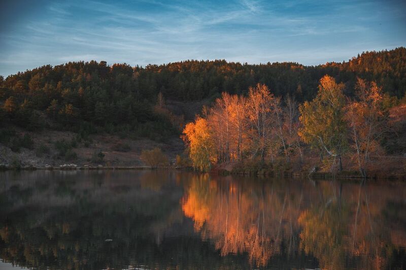 Осень, лес, озеро photo preview