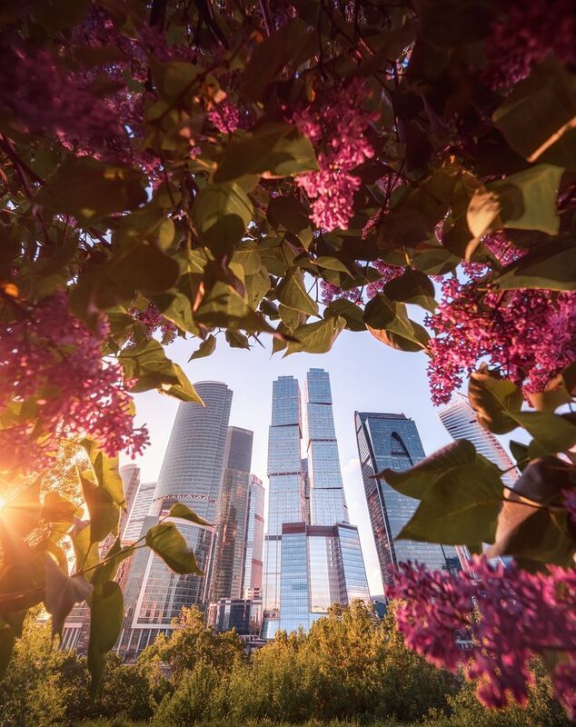 москва, весна, сирень, архитектура, москва сити, moscow, spring, деловой центр Москва ситиphoto preview