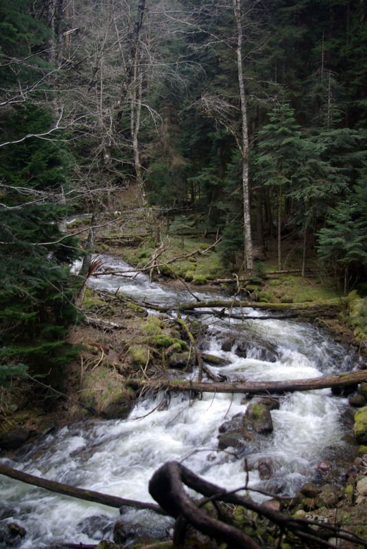 архыз Изгиб ... фото превью