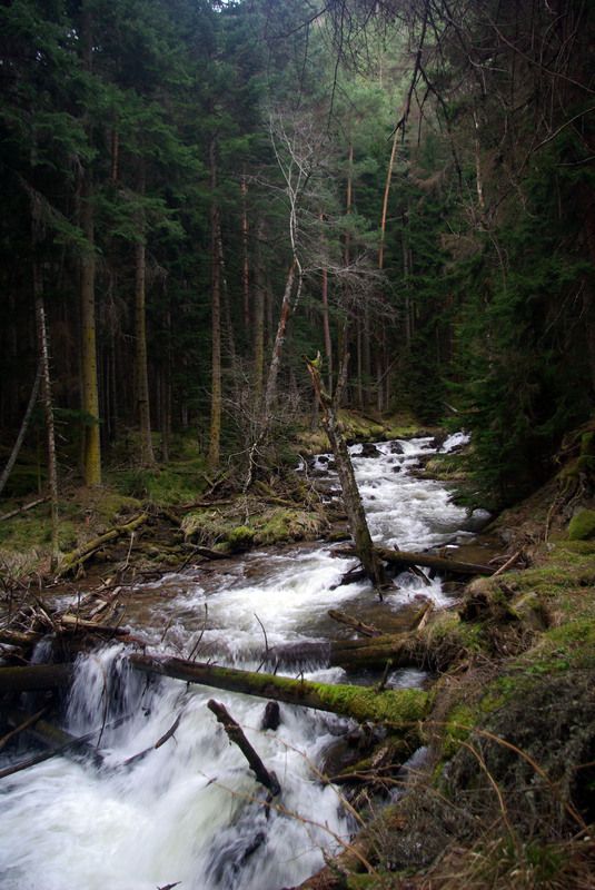 архыз Река бегущая вдаль ... фото превью