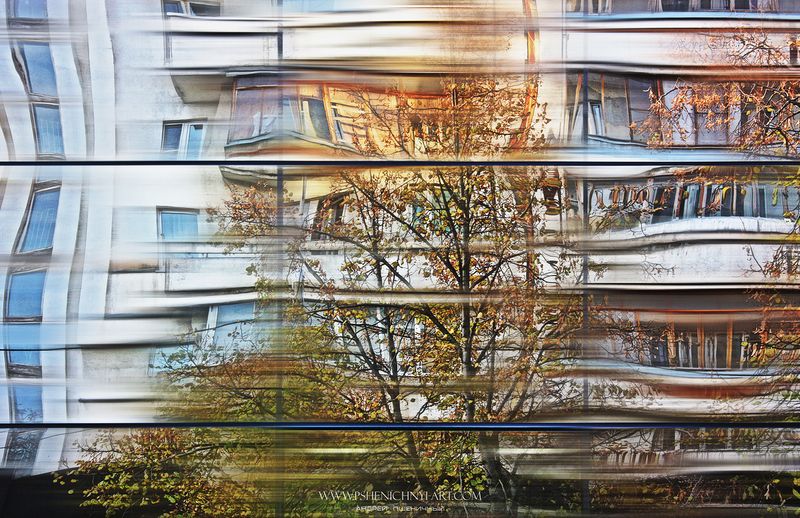 отражение, эффект линзы, город, городской пейзаж, фасад, ритм, абстракция, минимализм, крона дерева, осень В ритме городаphoto preview