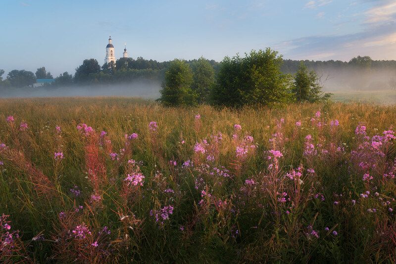 Розовое утроphoto preview