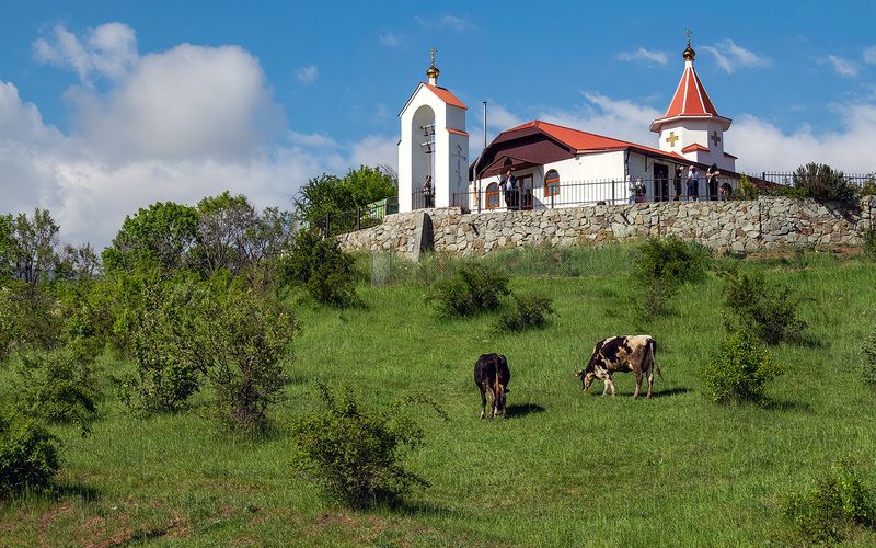 крым, село, храм, коровы, лето Церковь Афанасия Затворника Киево-Печерскогоphoto preview