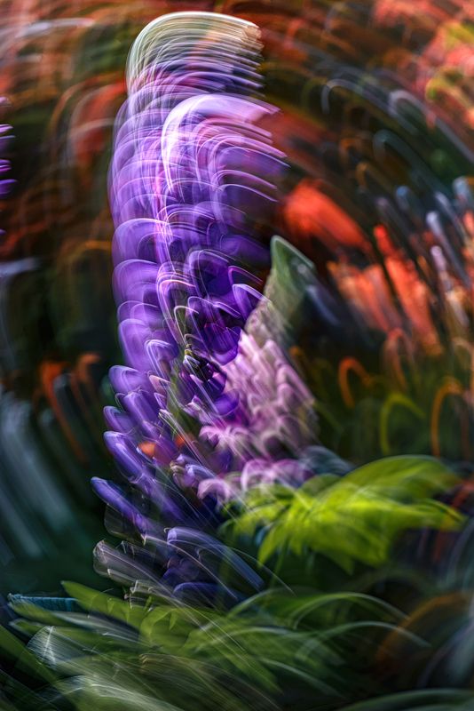 icm, люпин Шаманphoto preview