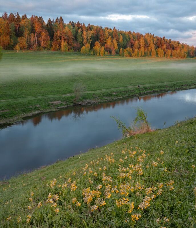 #topnature #russpasibo #magic_shots #lovelyRussia #sunset_vision #exclusive_sky  #exclusive_shots #loves_russia2 #photoarena_nature #nature_sultans #nature_perfection #rsa_sky #rsa_sunset #photorussia #rsa_naturepics #sunsetsRussia #landscape_Russia #love Вечер. фото превью