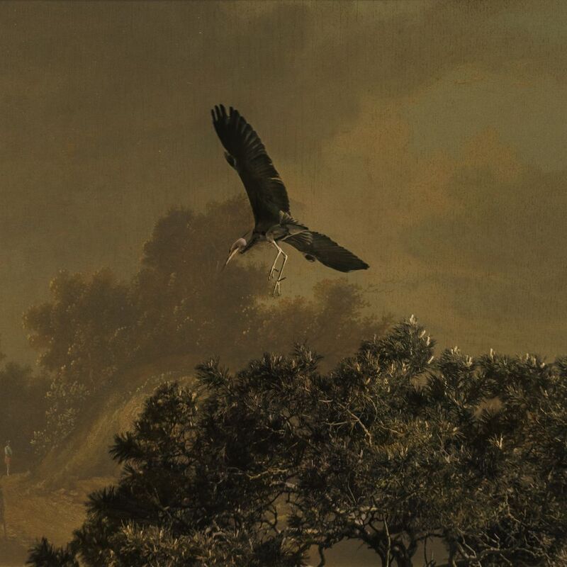 Цапляphoto preview