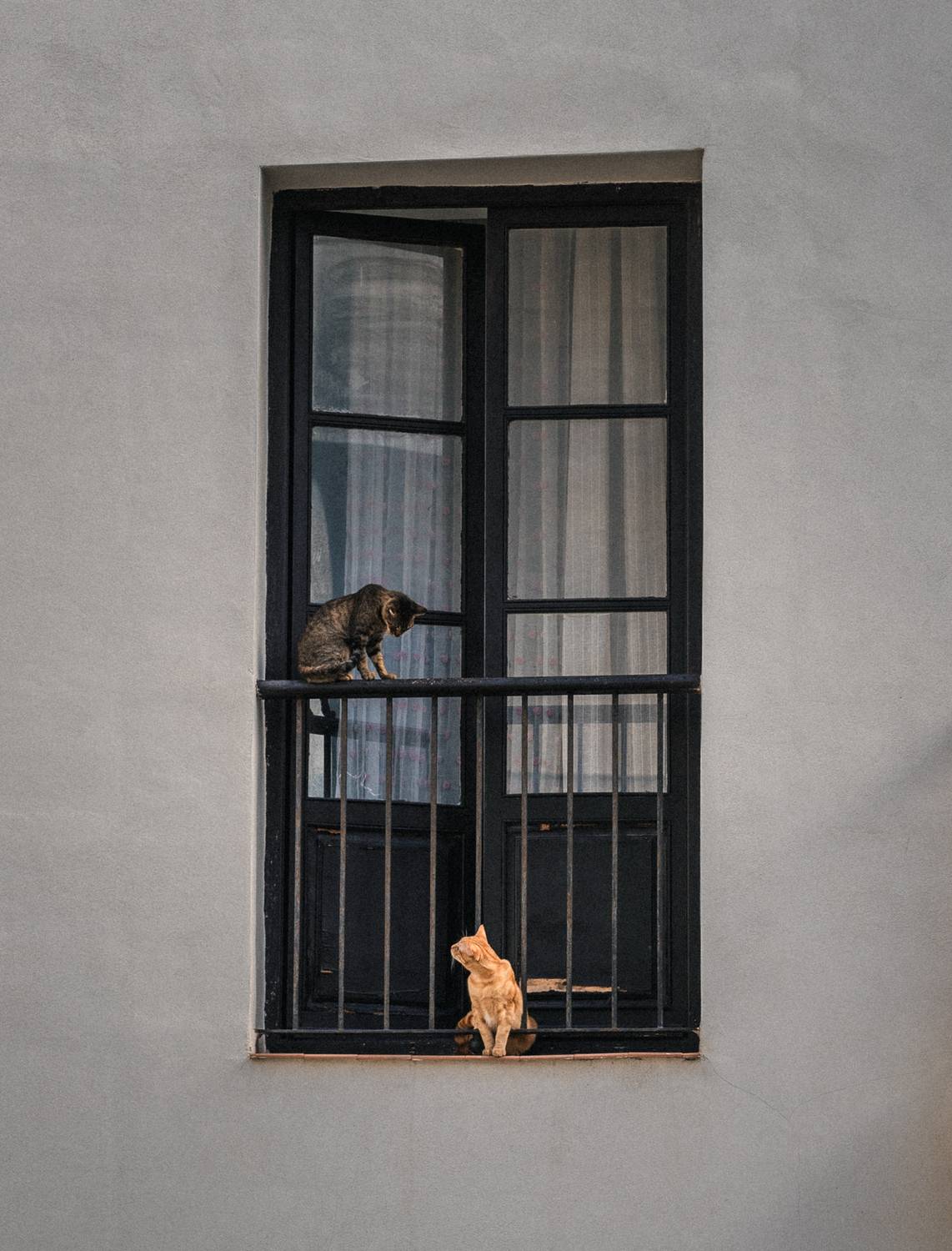 Автор: Kononov Anatolii , Kononov Anatolii