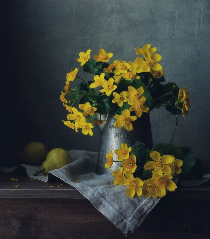 натюрморт,весна,цветы,калужница калужница...photo preview