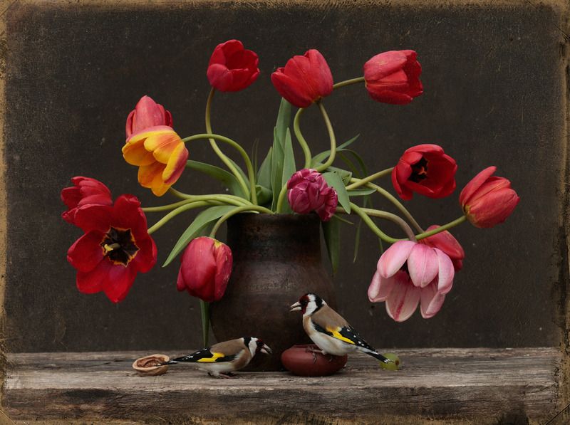 Натюрморт с розовым тюльпаномphoto preview