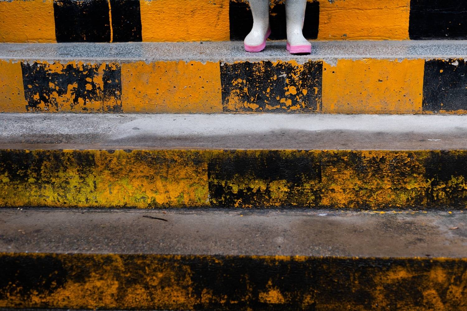 .... Автор: Krzysztof Trojanowski , Krzysztof Trojanowski