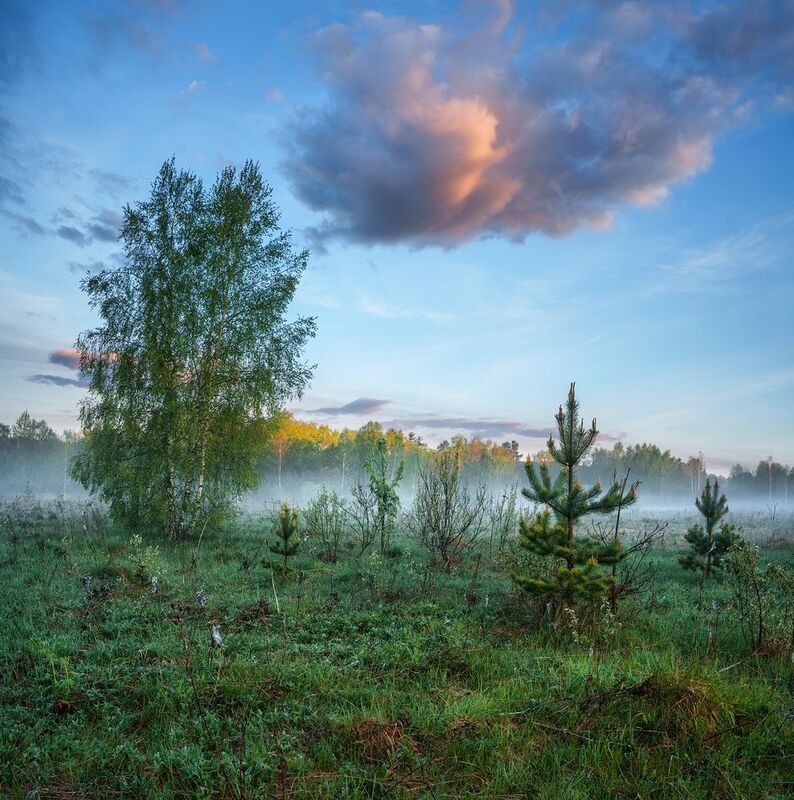 фото превью