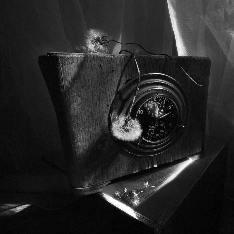 Время одуванчиков!photo preview