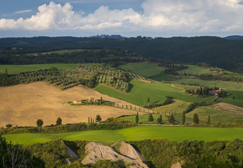 Весенняя панорамаphoto preview