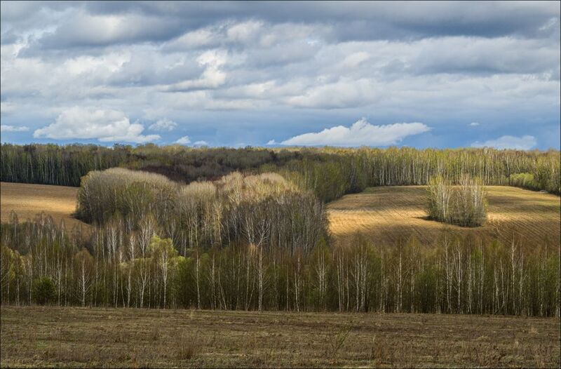 Время первой зелениphoto preview