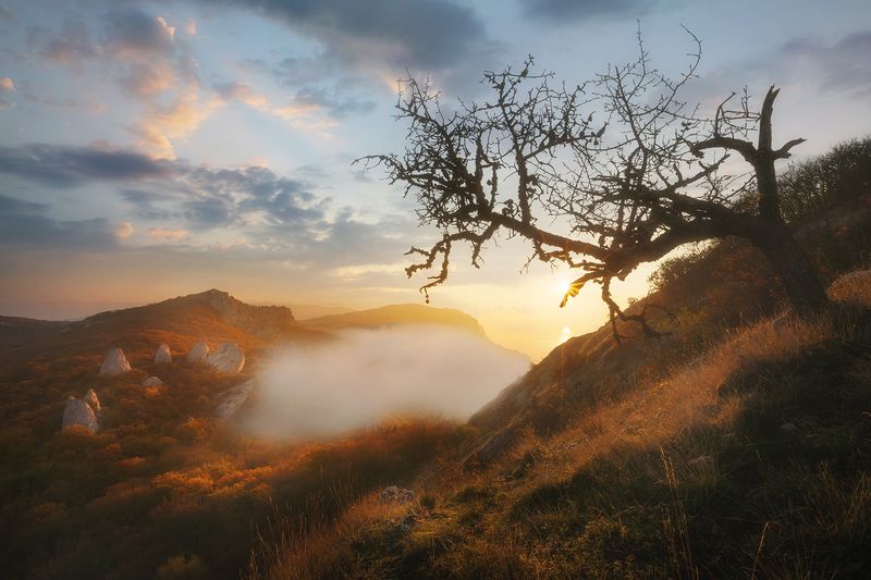 Осенние утренние туманы Крымаphoto preview