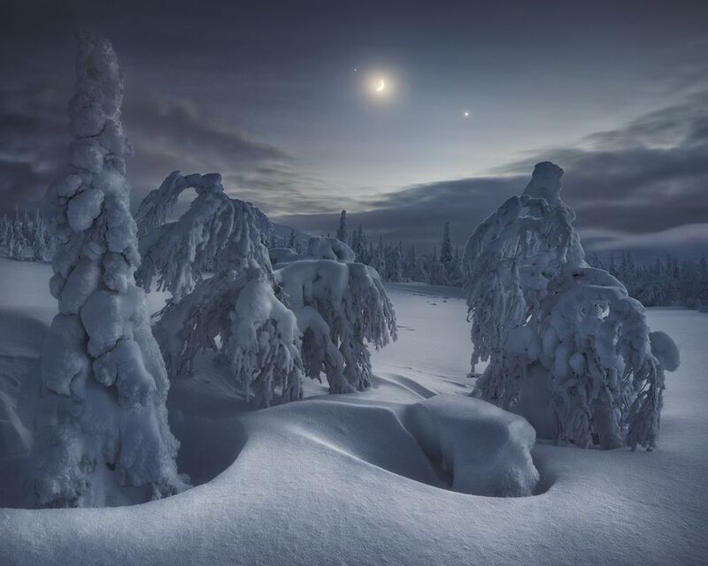 Похождения мамонтенка фото превью